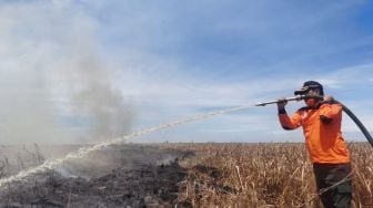 Kebakaran Hutan dan Lahan di Riau Meluas Sampai 91,46 Hektar