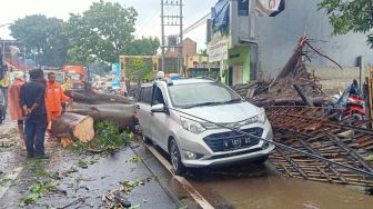 Hujan Deras dan Angin Kencang di Cisolok Sukabumi, Dua Pengendara Motor Tewas Usai Tertimpa Pohon Tumbang