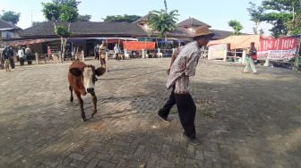 Dua Kalurahan di Gunungkidul Masuk Zona Merah Penyebaran Antraks