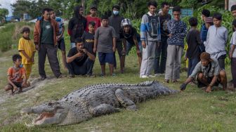 Sejumlah warga menyaksikan seekor buaya liar berukuran sekitar empat meter yang berjemur di pinggir Sungai Palu, Palu, Sulawesi Tengah, Kamis (3/2/2022).  ANTARA FOTO/Basri Marzuki
