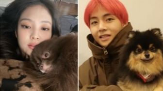 Mengenal Anjing Pomeranian yang Digandrungi Idol K-Pop, Ada Yeontan Milik V BTS