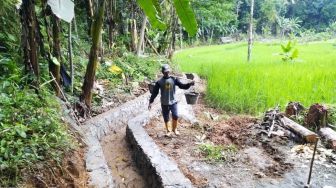 Kementan Realisasikan Program DAM Parit untuk Perkuat Sektor Pertanian di Bandung