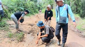 Jejak dan Seekor Harimau Sumatera Kembali Muncul di Maua Hilia Agam