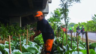 Petugas mengecek tanaman di kolong Tol Becakayu,Jakarta, Jumat (4/2/2022). [Suara.com/Septian]
