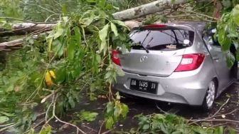 Satu Unit Mobil di Agam Ringsek Dihantam Pohon Tumbang