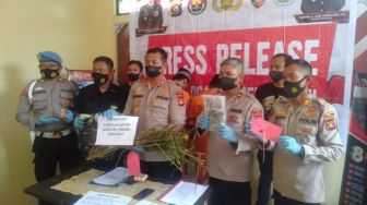 Polisi Buru Pemiilik Kebun Ganja Berkedok Kebun Kopi di OKU Sumsel