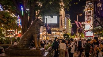 Hachiko dan Noori, Dua Kisah Pilu tentang Anjing yang Setia kepada Tuannya