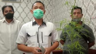 Tanam Ganja di Pekarangan Rumah, Pelajar SMA di Merauke Ditahan Polisi