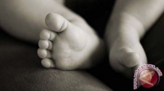 Dikira Boneka, Warga Tangsel Geger Temukan Mayat Bayi di Jalan
