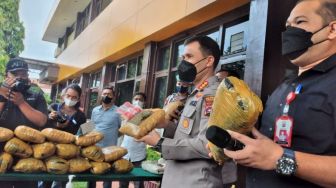 Gagalkan Peredaran 25 Kg Ganja, Polresta Padang Ringkus Pengedar Narkoba Lintas Provinsi