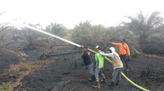Tujuh Hektare Lahan di Nagan Raya terbakar