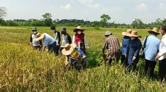 YAFSI Promosikan Hasil Pertanian Pedesaan Ramah Anak