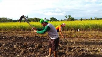 Harga Pupuk Bikin Petani Tercekik, Ardiansyah Minta Pemkab Sambas Canangkan Program Pupuk Alternatif