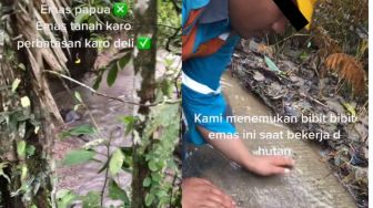 Bukan di Papua, Pria ini Temukan Bibit-bibit Diduga Emas di Sungai Perbatasan Karo, Publik: Asli atau Palsu?