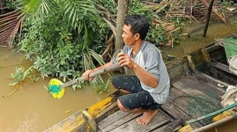 Kaya Mendadak, Nelayan di Sambas Jual Gelembung Ikan Tirus Rp 140 Juta