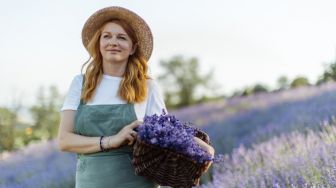 5 Tanaman Ini Ampuh Usir Nyamuk di Rumah, Ada Lavender hingga Marigold