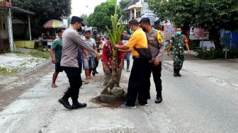 Jalan Raya Rusak, Warga Blitar Kesal Akhirnya Tanami Pohon Pisang Sejauh 50 Meter