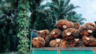 Tantangan Bisnis Berubah, Perusahaan Sawit Diminta Bersiap