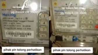 Viral Pria Ngegas Protes Merasa Token Listrik PLN Dikorupsi, Berakhir Blunder