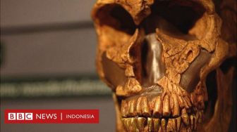 Manusia Purba Neanderthal Tidak Punah karena Manusia Modern