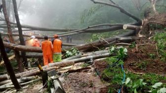 Jalur Akses Trenggalek Menghubungkan Ponorogo Tertutup Longsor