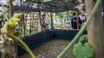 Warga merawat ikan budidaya di Rusun Menara Samawa, Pondok Kelapa, Jakarta Timur, Selasa (15/2/2022). [Suara.com/Alfian Winanto]