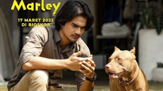 Tyas Mirasih dan Tengku Tezi Bintangi Film Marley, Angkat Isu Perdagangan Daging Anjing