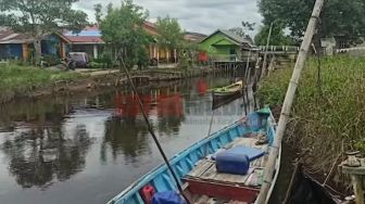 Diduga Akibat Banjir, Buaya Mulai Bermunculan di Sungai Pinyuh, Warga Jadi Resah