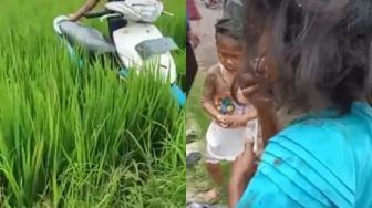 Viral Dua Bocah Boncengan Naik Motor Berakhir Masuk Sawah, Warganet: Siap-siap Dimarahi Emak