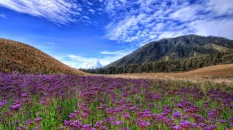 5 Daftar Gunung Tertinggi di Pulau Jawa, Gunung Semeru yang Paling Tinggi