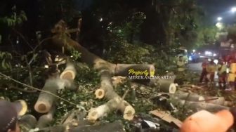 Hujan Deras dan Angin Kencang di Jaksel, Pemotor Tewas Tertimpa Pohon Tumbang di Pondok Indah