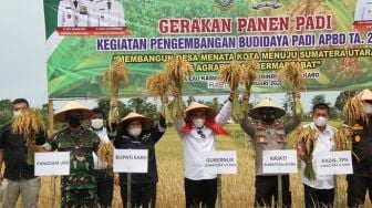 Gubernur Sumut Edy Rahmayadi Turun ke Sawah Bersama Irjen Panca Putra dan Mayjen Hassanudin