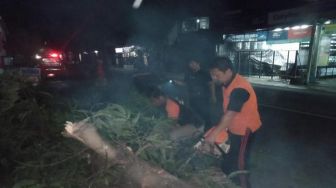 Pohon Perindang Jalan di Blahbatuh Roboh Diseruduk Truk