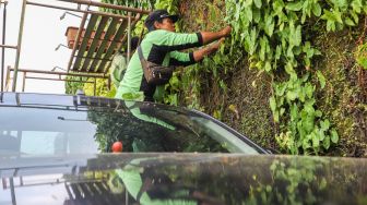 Petugas melakukan perawatan taman vertikal di Kawasan Tugu Tani, Jakarta Pusat, Jumat (18/2/2022). [Suara.com/Alfian Winanto]