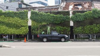 Petugas melakukan perawatan taman vertikal di Kawasan Tugu Tani, Jakarta Pusat, Jumat (18/2/2022). [Suara.com/Alfian Winanto]