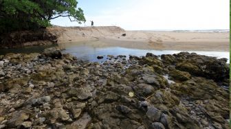 Melihat Situs Geologi di Pantai Parang Ireng