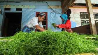 Petani menata tembakau usai diiris dan selanjutnya dijemur di Desa Seni Antara, Kabupaten Bener Meriah, Aceh, Sabtu (19/2/2022). [ANTARA FOTO/Rahmad/aww]