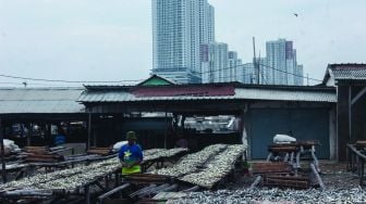 Pekerja saat mengeringkan ikan asin di Kampung Nelayan, Muara Angke, Jakarta Utara, Minggu (20/2/2022). [Suara.com/Septian]