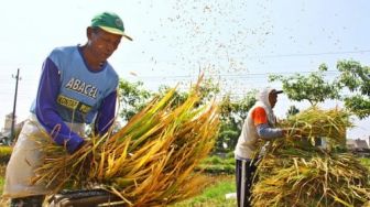 Presidensi G20 Buka Peluang Petani Indonesia Akses ke Pasar Global