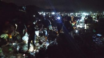 Mengenal Tradisi Bau Nyale di Lombok, Kandungan Gizinya Tinggi?