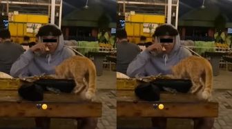 Viral Cowok Santai Berbagi Makanan Sepiring dengan Kucing Liar, Warganet Justru Ributkan Hal Ini