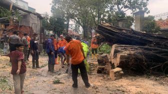 Pohon Tumbang Tutup Tiga Jalan di Kabupaten Cianjur, BPBD: Satu Rumah Rusak