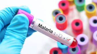 Waspadai Penyebaran Malaria di Kawasan IKN, Dinkes Penajam Bagikan Kelambu Insektisida Antimalaria ke Masyarakat