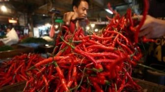 Bawa Kabur Sekarung Cabai Merah, Pencuri Spesialis Bobol Rumah Dibekuk