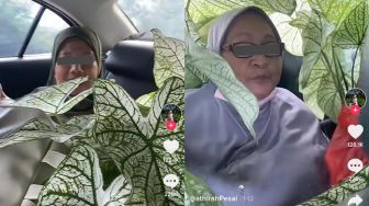 Demi Keladi, Dua Ibu-ibu Ini Sanggup Berhimpitan dalam Mobil Penuh Tanaman, Sampai Susah Gerak!