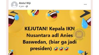 CEK FAKTA: Anies Baswedan Ditunjuk Sebagai Kepala IKN Nusantara, Benarkah?