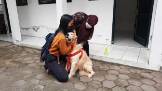 Pertahankan Kasus Tanpa Rabies di Jogja, Pemkot Gelar Vaksinasi Rabies Gratis ke 2.600 Hewan Peliharaan