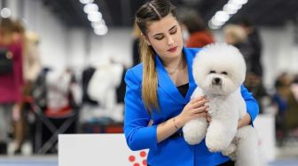 Jie Jie dari Indonesia Ikut Berkompetisi di Ajang Crufts 2022 Dog Show di Inggris