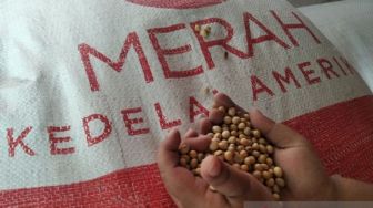 Harga Bahan Pangan Terus Naik, Kebijakan Pengendalian dari Pemerintah Tidak Ampuh?