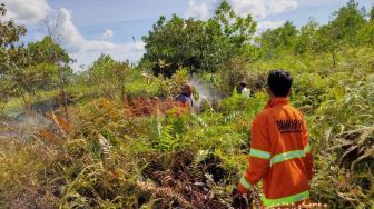 Waspada Karhutla, Titik Api Muncul di Kubu Raya, BPBD Berupaya Blocking Api Agar Tak Kena Rumah Warga